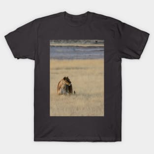 Lion in the grass. T-Shirt